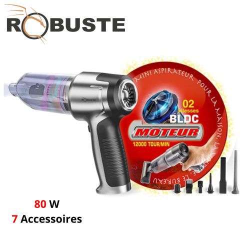 Aspirateur Souffleur ROBUSTE